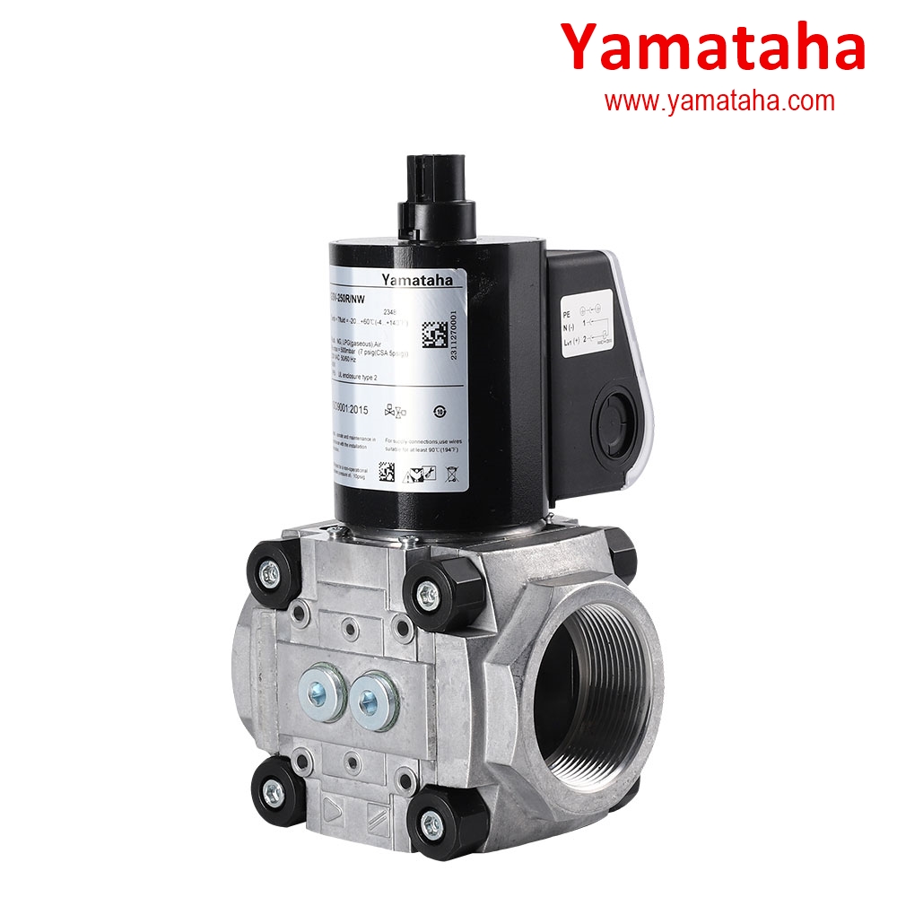 yamataha-gsv-250r-nw-(1)